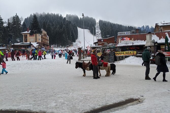 5-Day Ski Equipment Rental in Borovets - Gear quality and safety choices that actually help on the mountain