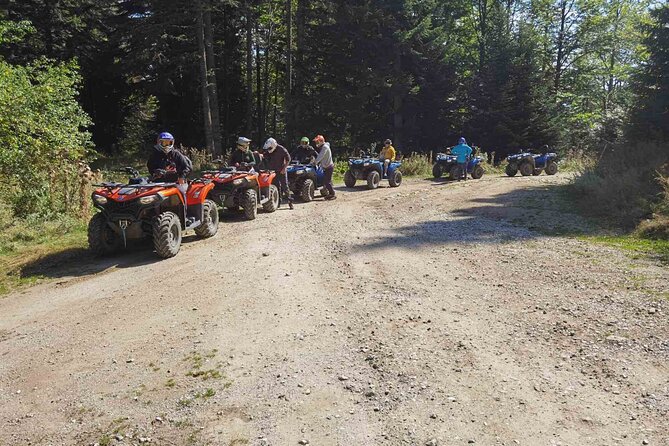 60-Minute Small-Group ATV Safari Tour in Bansko - Price and value: is $68.59 for one hour a fair deal?