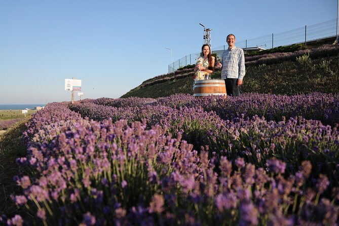 Aroma sampling of 5 Bulgarian Lavender varieties at DiVes Winery - Daily Summer Tours and the June Bloom Timing