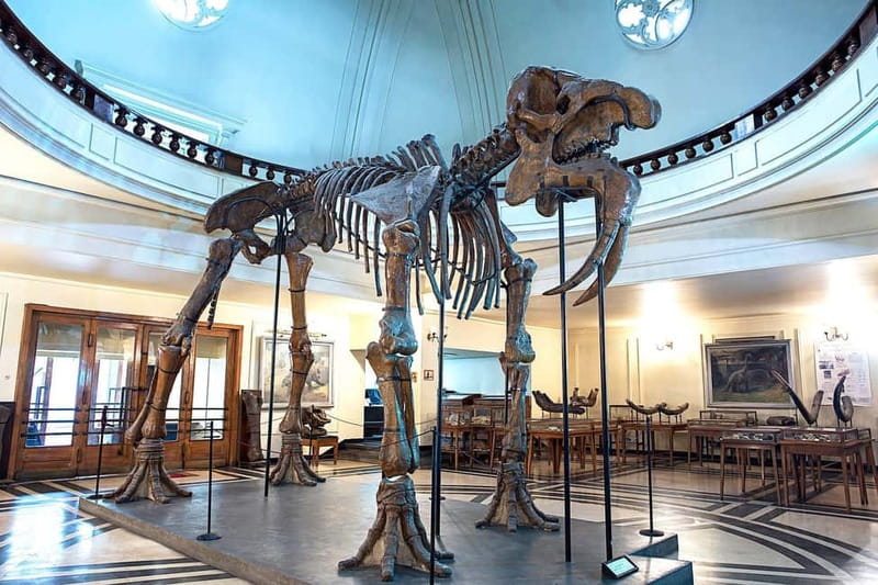 Audio Guide for Museum Paleontology and Historical Geology - Under the dome of Sofia University: why this feels different