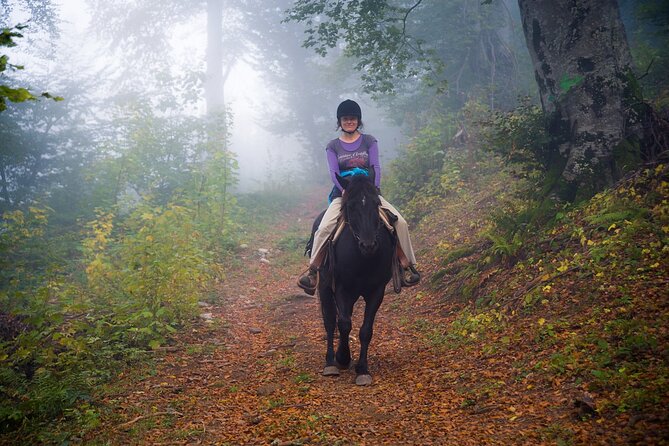 Balkan Horse Riding - Glozhene Monastery Ride - The Start Point: Meeting the Horses at Golyam Izvor