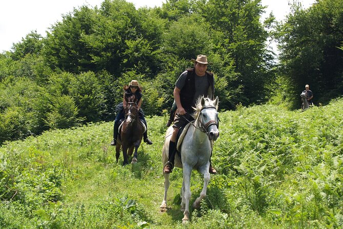Balkan Horse Riding - Glozhene Monastery Ride - Glozhen Monastery: Short, Guided, and Focused