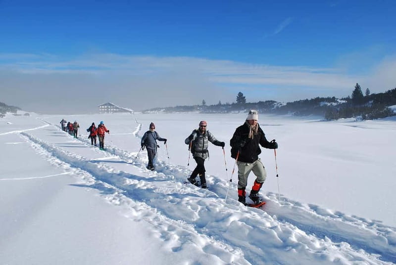Bansko: Easy snowshoeing Pirin National Park & thermal spa - Pirin National Park in Winter: Why This Day Trip Feels Like a Detour From the Crowds