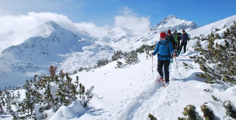 Bansko: Easy snowshoeing Pirin National Park & thermal spa - Snowshoes, Poles, and What Makes This Walk “Easy to Moderate”