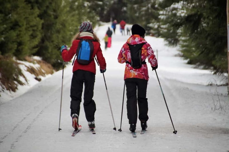 Borovets: 2-Hour Cross Country Ski Taster with Instructor - Cross-Country Skiing Taster in Borovets: What You Learn in Just 2 Hours