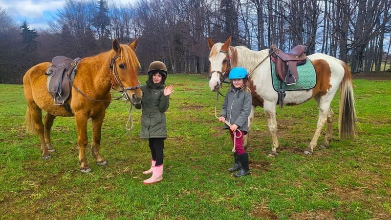 Borovets: Horse Riding Experience - The first hour on horseback: what you actually learn