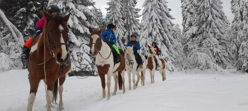Borovets: Horse Riding Experience - Riding the ranch landscape: peace, pace, and animals