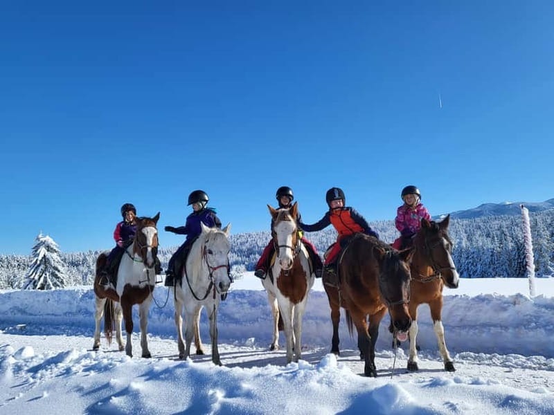 Borovets: Horse Riding Experience - Price and value: is $73 worth it?
