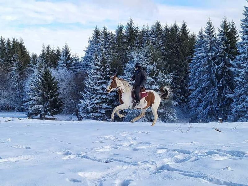 Borovets: Horse Riding Experience - What to bring so you feel comfortable fast