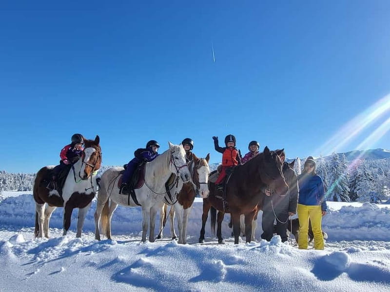 Borovets: Horse Riding Experience - From Traventuria Park to Butch Camp: how the day flows
