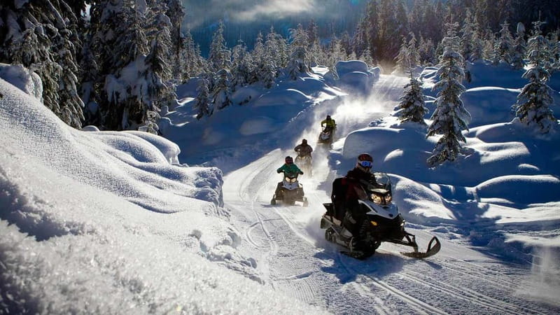Borovets: Snowmobile Adventure - The main scenic drive through Borovets forest tracks