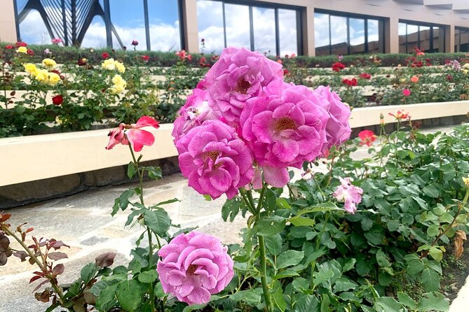 Buzludzha Monument and The Rose Valley Day Tour From Sofia 13 hrs - On the ride back: Sopot photo stop and rose plantations