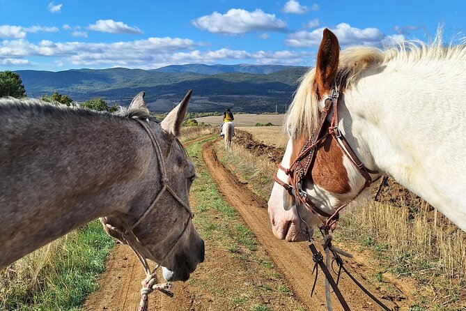 Escape Sofia: horse ride through Bulgaria's beauty - Your 1-Hour Horse Ride: Pace, Views, and Feeling in Control