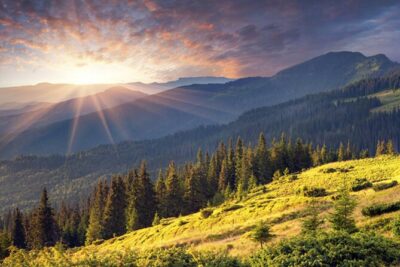 Exclusive Sofia: Nevsky, Vitosha Hoof, Boyana, Horse Ride & Spa