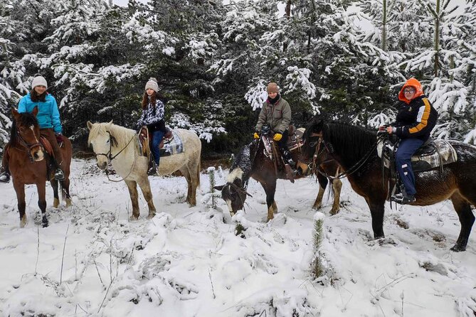 Exclusive Sofia: Nevsky, Vitosha Hoof, Boyana, Horse Ride & Spa - Limoncheto lunch stop: classic Bulgarian comfort, with extra spending expected