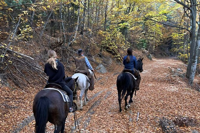 Exclusive Sofia: Nevsky, Vitosha Hoof, Boyana, Horse Ride & Spa - Sapareva Banya mineral baths: Roman roots and real recovery time