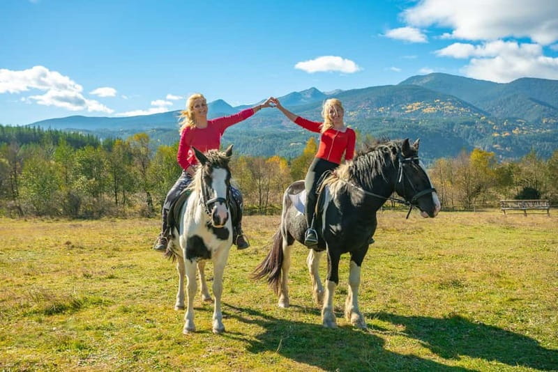 From Bansko: Horse Riding Experience - Key points to know before you go