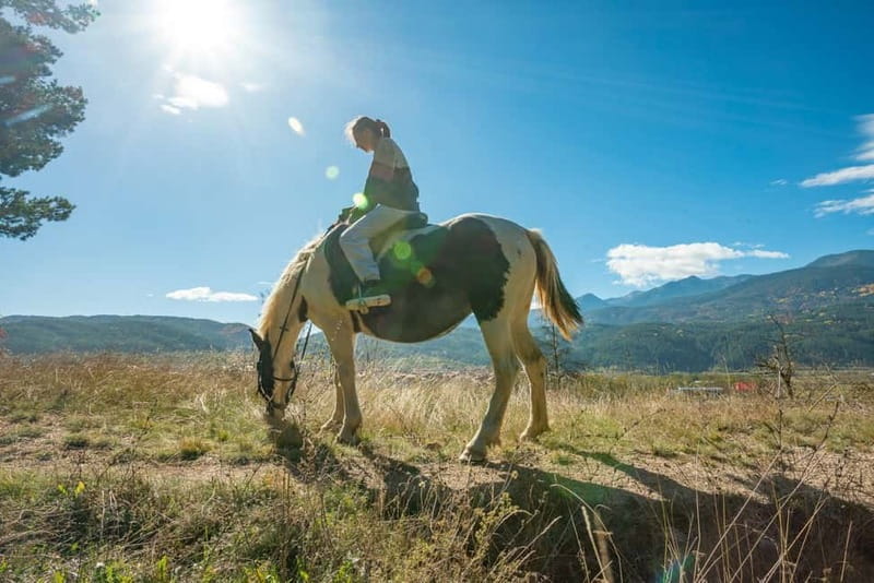 From Bansko: Horse Riding Experience - Dobrinishte ranch time: meeting your horse, getting instructions, and understanding the language situation