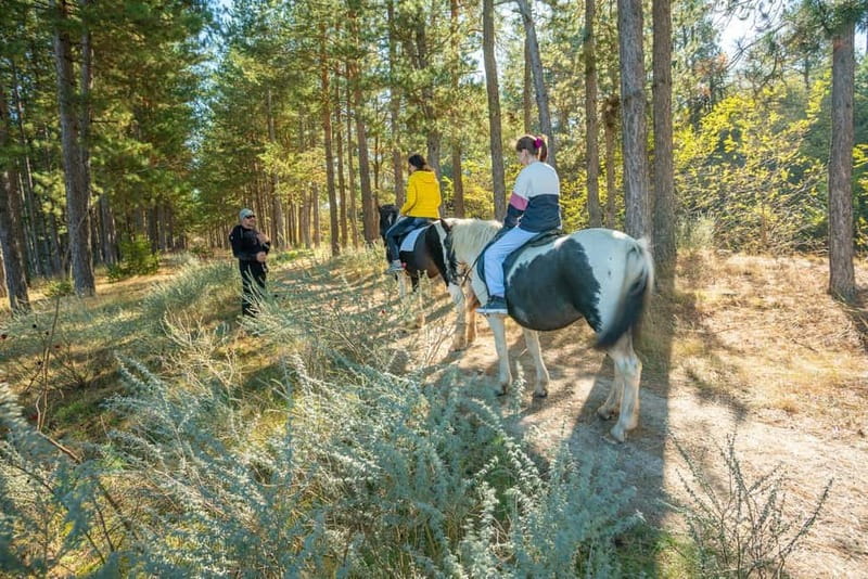From Bansko: Horse Riding Experience - The 45-minute ride: beginner pace, steady comfort, and mountain views that do the heavy lifting
