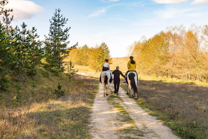 From Bansko: Horse Riding Experience - Price and value: why $56 makes sense for what you get