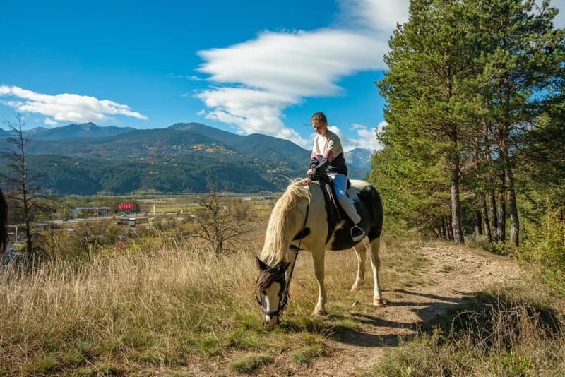 From Bansko: Horse Riding Experience - Safety and suitability: who this fits well and who should skip it