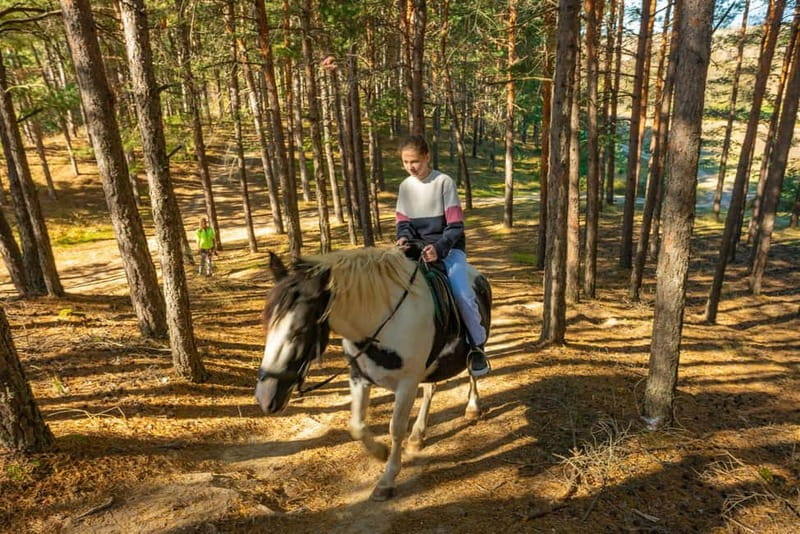 From Bansko: Horse Riding Experience - Should you book this Bansko horse riding experience?
