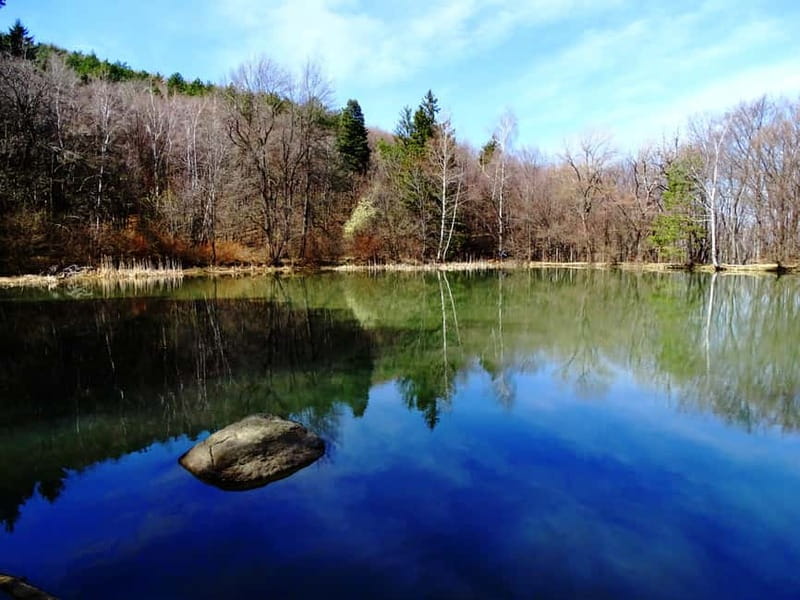 From Sofia: One-Day Tour of Vitosha Mountain - Key Things You Should Know Before You Go