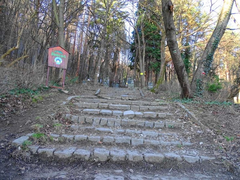 From Sofia: One-Day Tour of Vitosha Mountain - Pickup From Sofia and the Transfer Timing That Sets the Mood