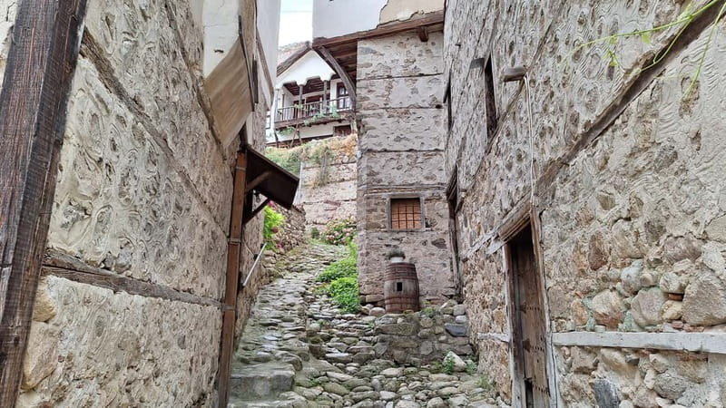 From Sofia: Rila Monastery & Melnik Day Tour - Price and Value: When $47 Makes Sense