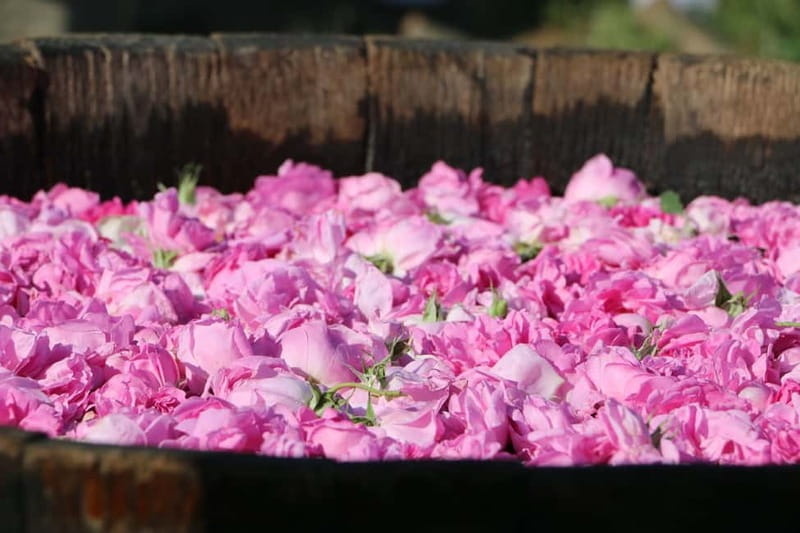 From Sofia: Rose Valley Tour & UNESCO Site Kazanlak - Why This Sofia to Kazanlak Day Trip Works So Well