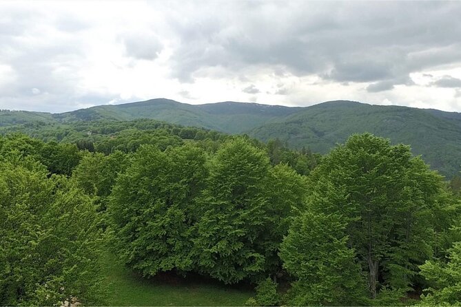 From Sofia: Serbia and Macedonia Trip - Who should book this tour, and who should not