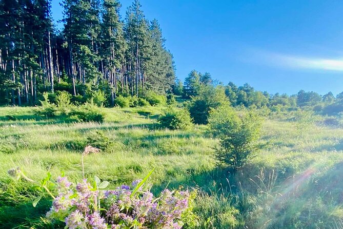 From Sofia The Beauty of the Countryside and a Homemade Lunch - Sofia to Chekanchevo at 11:00, no stress, just countryside