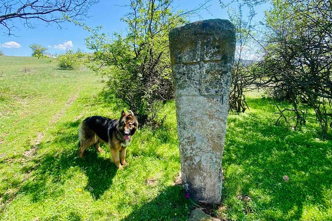 From Sofia The Beauty of the Countryside and a Homemade Lunch - Optional horse riding, only if you want the extra 30 minutes