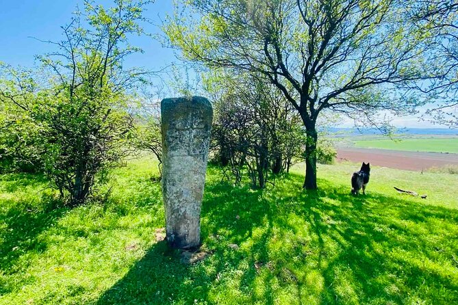 From Sofia The Beauty of the Countryside and a Homemade Lunch - Should you book this Sofia countryside walk and homemade lunch?