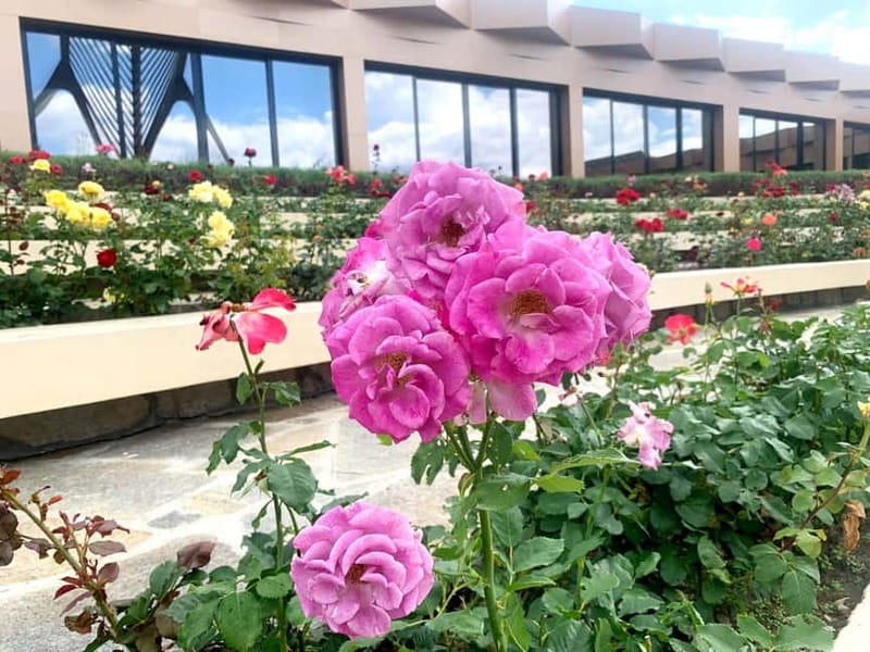 From Sofia: The Rose Valley & Buzludzha Monument Day Tour - Who should book this day tour, and who might skip it