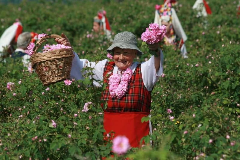 From Sofia: The Rose Valley & Koprivshtitsa 12 hrs Day Tour - Why this Rose Valley day trip feels worth the long drive