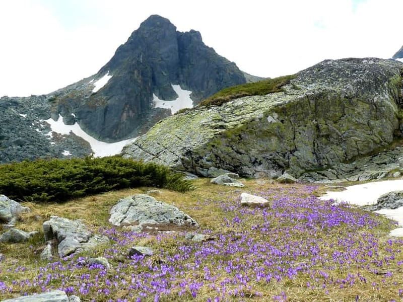 From Sofia: The Seven Rila Lakes Full-Day Self-Guided Tour - Sofia to Panichishte: getting to the trail without stress