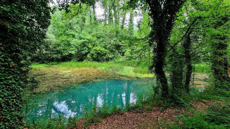 From Sofia: Zlatna Panega River Hike with Springs Visit - From Sofia to Zlatna Panega, the karst spring you came for