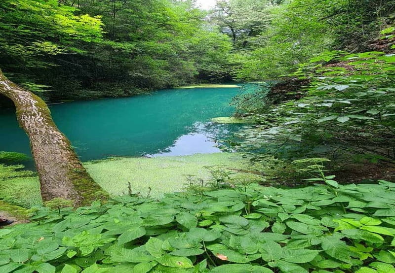 From Sofia: Zlatna Panega River Hike with Springs Visit - Boat or canoe add-ons, worth it for the time you save
