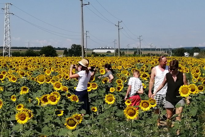 Full-Day Small-Group Tour of Bulgaria by Minivan with Lunch - Beloslav Distillery and Lunch with Locals: The Day’s Comfort Anchor