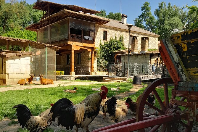 Full-Day Small-Group Tour of Bulgaria by Minivan with Lunch - Culture Lessons: Salary and Social Systems in Bulgaria