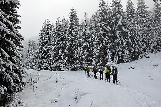Full-day Vitosha Mountain Snowshoe Hiking Tour from Sofia - Quick highlights