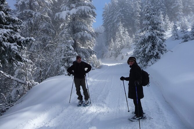 Full-day Vitosha Mountain Snowshoe Hiking Tour from Sofia - Why Vitosha’s Cherni Vrah snowshoe day feels worth your winter morning