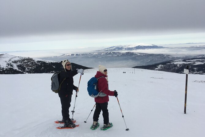Full-day Vitosha Mountain Snowshoe Hiking Tour from Sofia - Guide, snowshoe hire, and what to wear so you stay happy