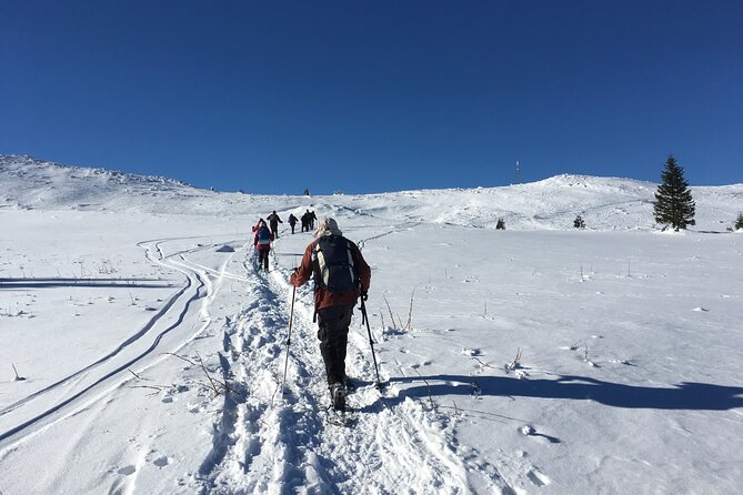 Full-day Vitosha Mountain Snowshoe Hiking Tour from Sofia - Snowshoe hike to Cherni Vrah: how the timing shapes your day