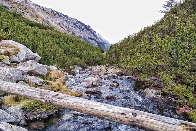 Hiking in Pirin- the UNESCO World Heritage Natural Park with a visit of Bansko - Returning to the Vehicle and the Quick Switch to Bansko
