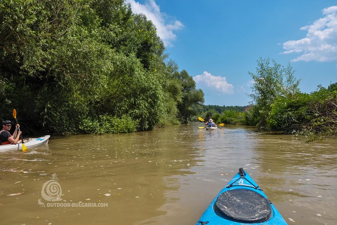 Kamchia river kayaking day tour - Pickup and Private Group Pacing: Minibus, Cars, and Your Own Space