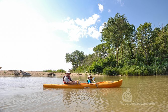 Kamchia river kayaking day tour - Gliding Through Woods and Calm Water: What You’ll See on the River