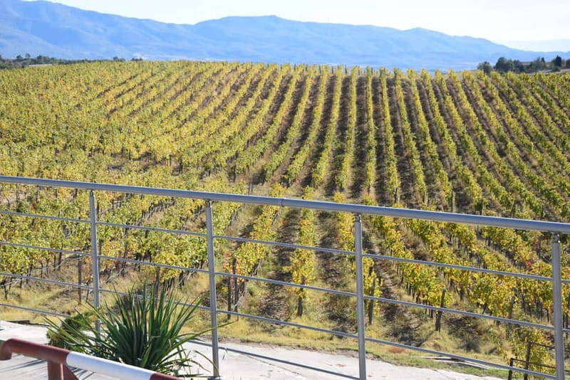 Melnik Wine Tour - Key highlights to know before you go