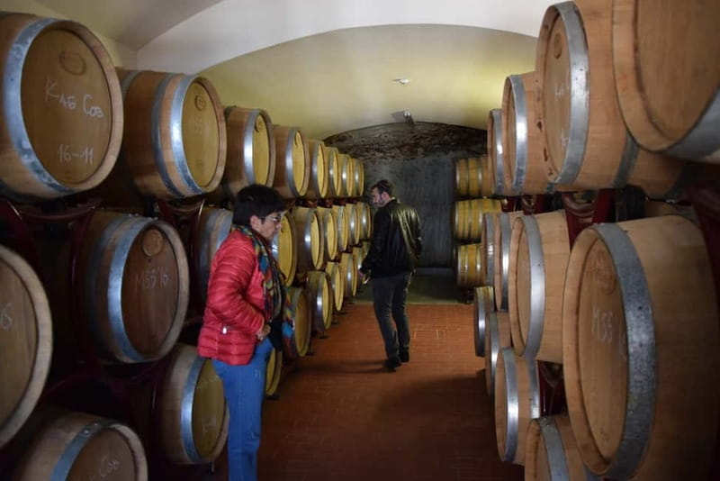 Melnik Wine Tour - What to buy, and how to take bottles home